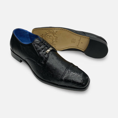 Belvedere Ostrich Cap toe Oxfords | 114008/Spada