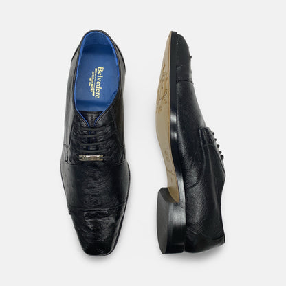 Belvedere Ostrich Cap toe Oxfords | 114008/Spada