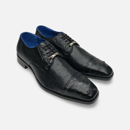 Belvedere Ostrich Cap toe Oxfords | 114008/Spada