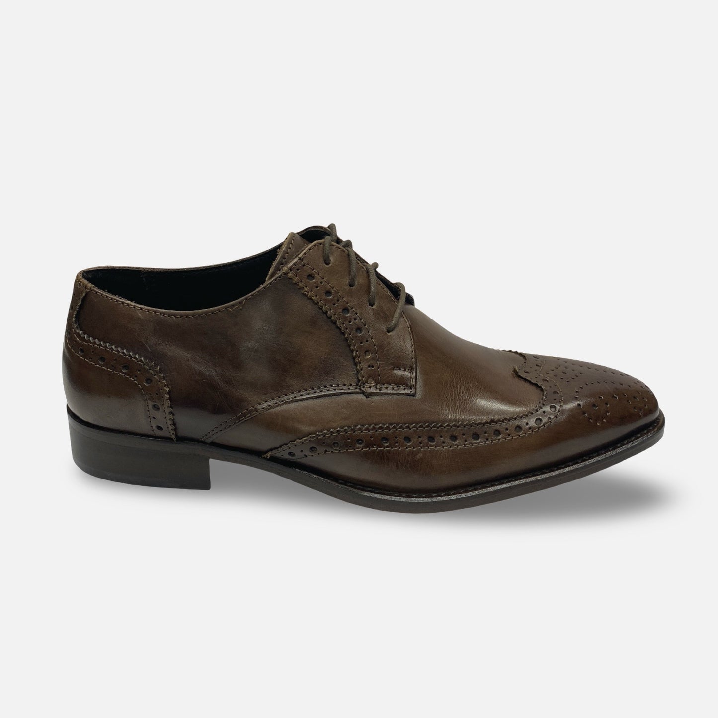 Duca Brown Italian Wingtip Ox Chocolate Brown Mens Shoe | 1508