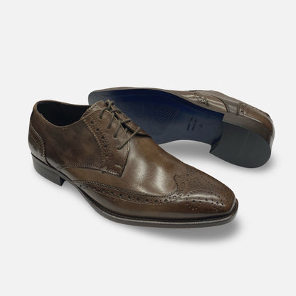Duca Brown Italian Wingtip Ox Chocolate Brown Mens Shoe | 1508
