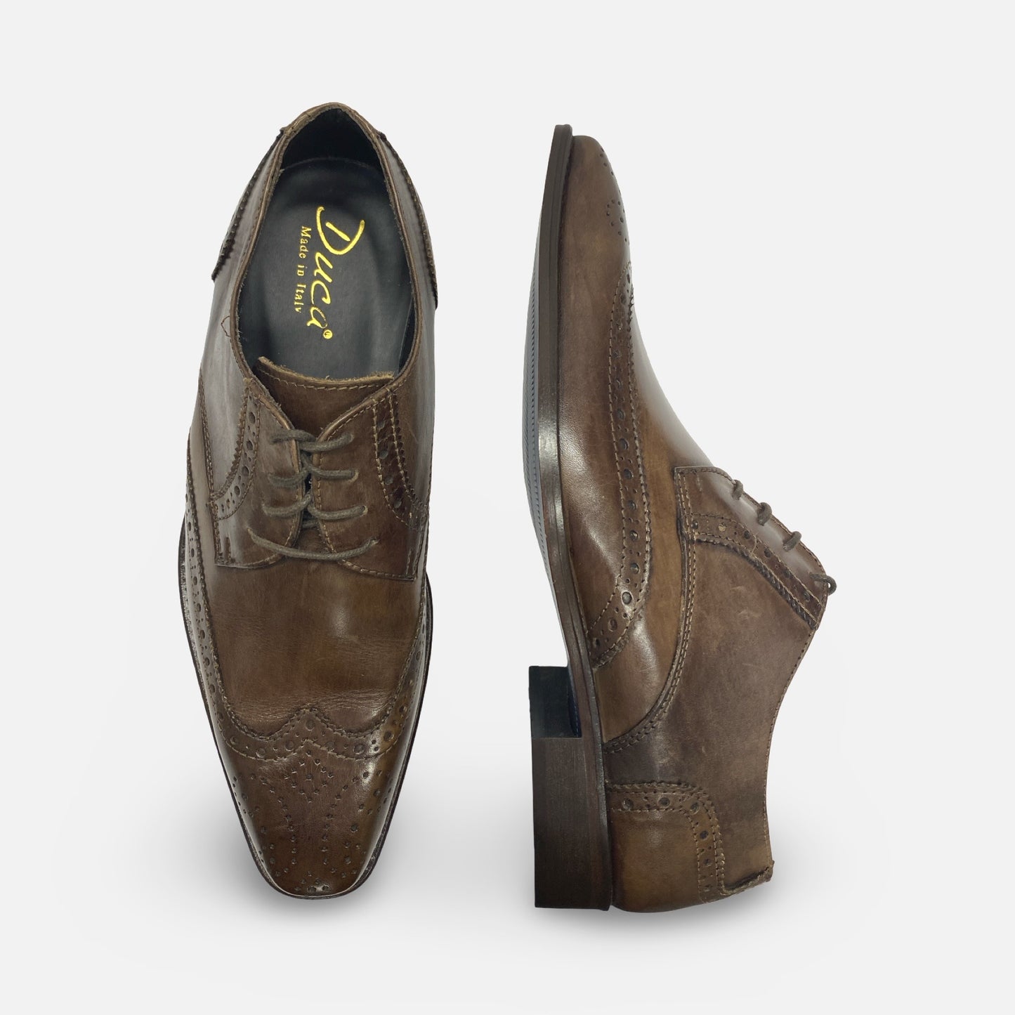 Duca Brown Italian Wingtip Ox Chocolate Brown Mens Shoe | 1508