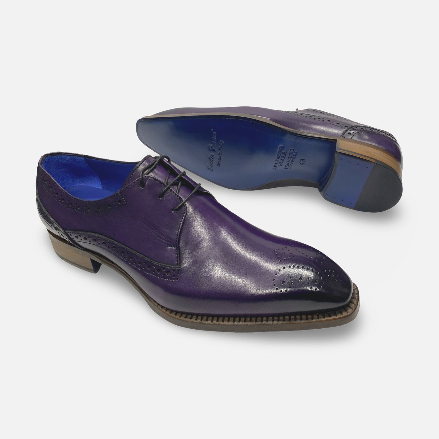 Emily Franco Purple Italian Dress Shoes | Giacamo
